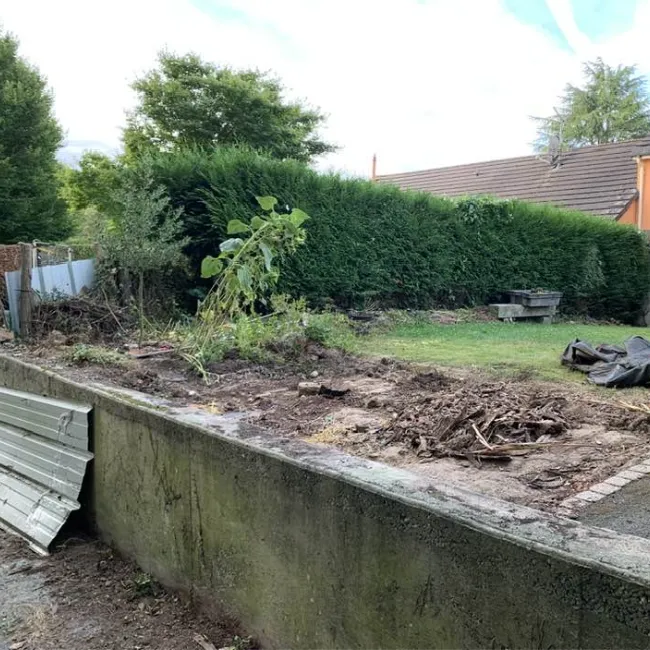 before-image