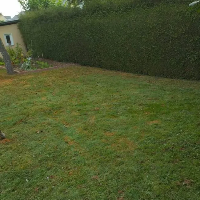 before-image